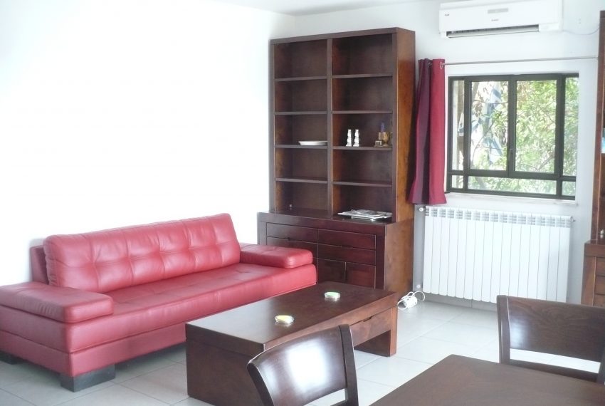 for-rent-Renovated-and-fully-furnished-3-BRD-on-Fichman-St.